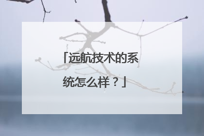 远航技术的系统怎么样?