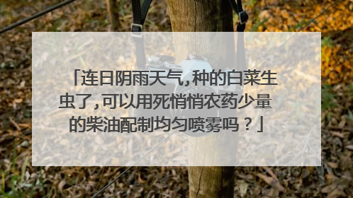 连日阴雨天气,种的白菜生虫了,可以用死悄悄农药少量的柴油配制均匀喷雾吗?