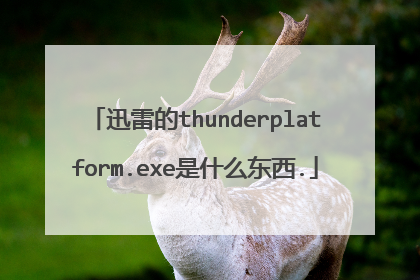 迅雷的thunderplatform.exe是什么东西.