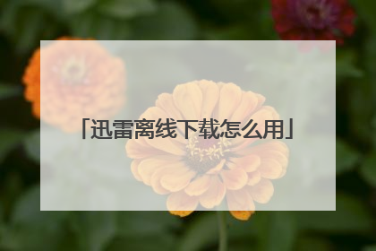 迅雷离线下载怎么用