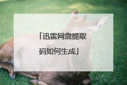 迅雷网盘提取码如何生成