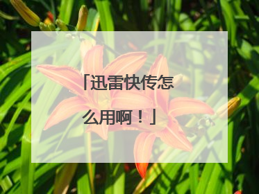迅雷快传怎么用啊!