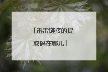 迅雷链接的提取码在哪儿