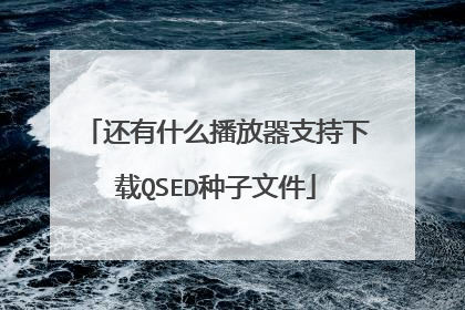 还有什么播放器支持下载QSED种子文件