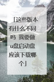 这些版本有什么不同吗 我要做u盘启动盘应该下载哪个