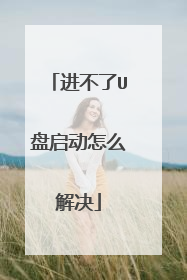 进不了U盘启动怎么解决