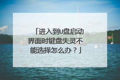 进入到U盘启动界面时键盘失灵不能选择怎么办?
