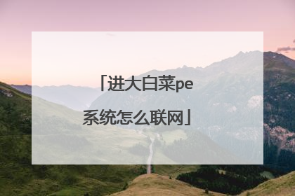 进大白菜pe系统怎么联网