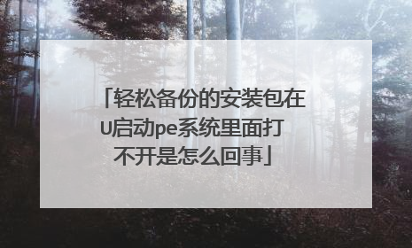 轻松备份的安装包在U启动pe系统里面打不开是怎么回事