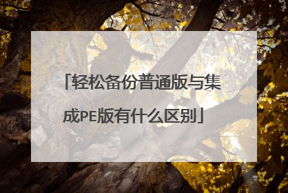 轻松备份普通版与集成PE版有什么区别