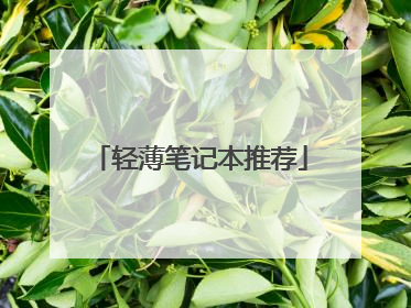 轻薄笔记本推荐