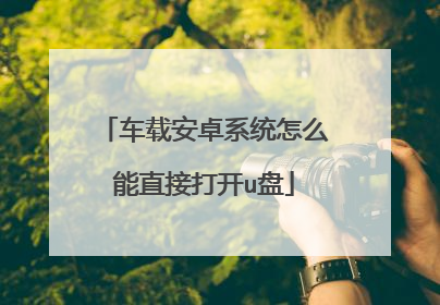 车载安卓系统怎么能直接打开u盘