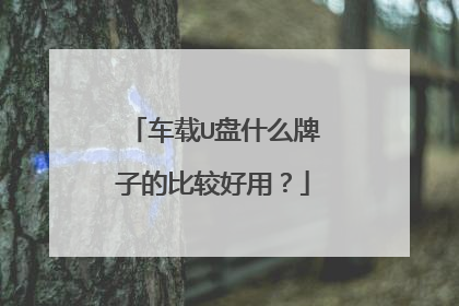 车载U盘什么牌子的比较好用?
