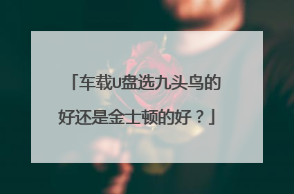 车载U盘选九头鸟的好还是金士顿的好?