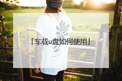 车载u盘如何使用