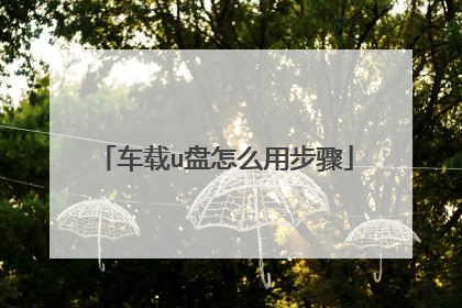 车载u盘怎么用步骤