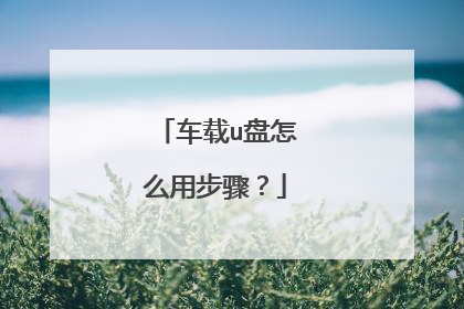 车载u盘怎么用步骤?