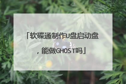 软碟通制作U盘启动盘，能做GHOST吗