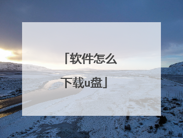 软件怎么下载u盘