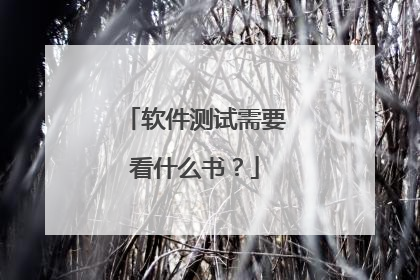 软件测试需要看什么书?
