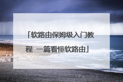 软路由保姆级入门教程 一篇看懂软路由