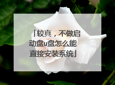 较真,不做启动盘u盘怎么能直接安装系统