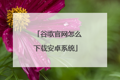 谷歌官网怎么下载安卓系统