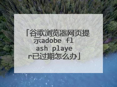 谷歌浏览器网页提示adobe flash player已过期怎么办