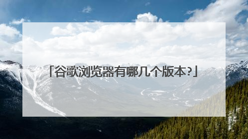 谷歌浏览器有哪几个版本?