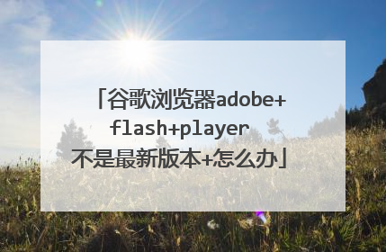 谷歌浏览器adobe+flash+player不是最新版本+怎么办