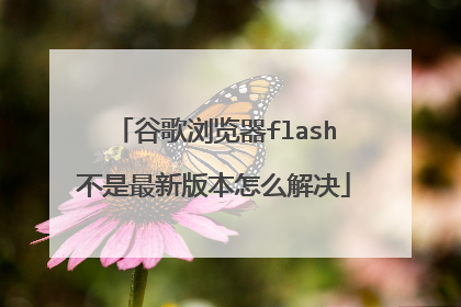 谷歌浏览器flash不是最新版本怎么解决