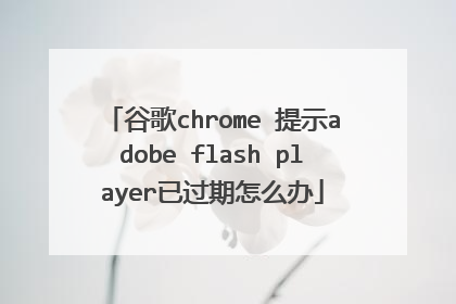 谷歌chrome 提示adobe flash player已过期怎么办