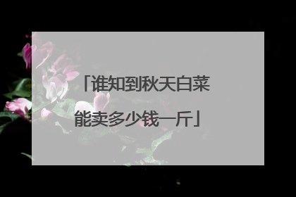 谁知到秋天白菜能卖多少钱一斤