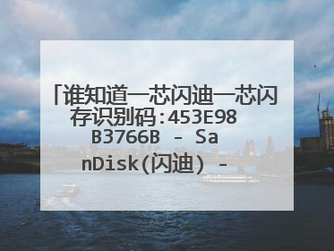 谁知道一芯闪迪一芯闪存识别码:453E98B3766B - SanDisk(闪迪) - 量产工具求?