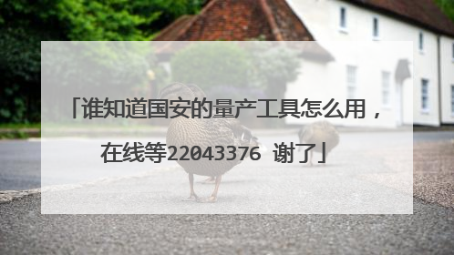 谁知道国安的量产工具怎么用,在线等22043376 谢了