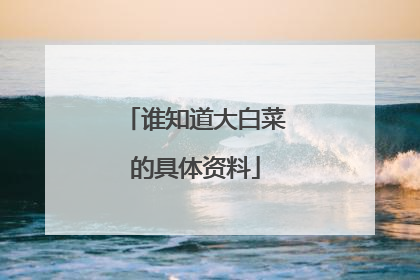 谁知道大白菜的具体资料