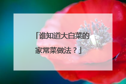 谁知道大白菜的家常菜做法?