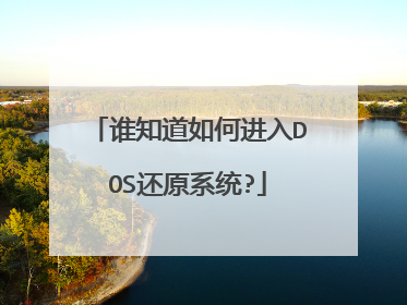 谁知道如何进入DOS还原系统?