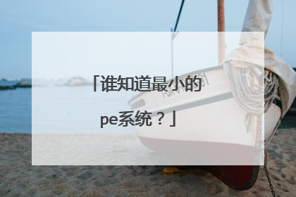谁知道最小的pe系统?