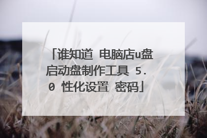 谁知道 电脑店u盘启动盘制作工具 5.0 性化设置 密码