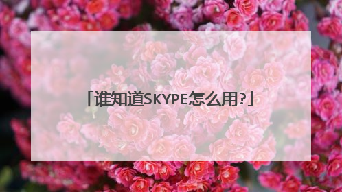 谁知道SKYPE怎么用?