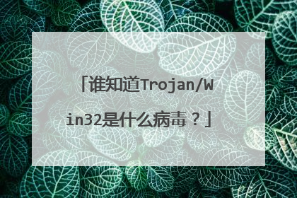 谁知道Trojan/Win32是什么病毒?