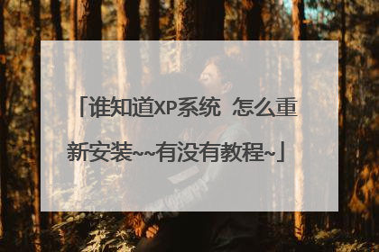 谁知道XP系统 怎么重新安装~~有没有教程~