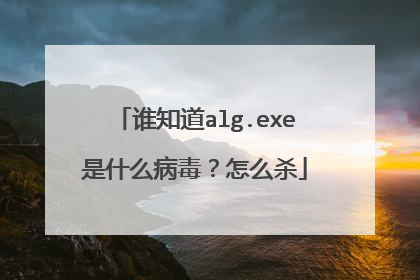 谁知道alg.exe是什么病毒?怎么杀