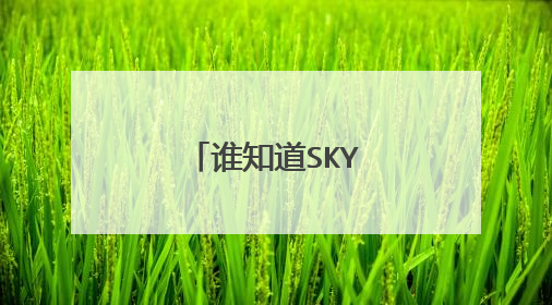 谁知道SKYPE怎么用?