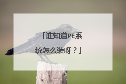 谁知道PE系统怎么装呀?