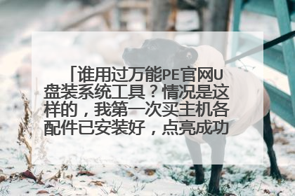 谁用过万能PE官网U盘装系统工具？情况是这样的，我第一次买主机各配件已安装好，点亮成功，目前到这一
