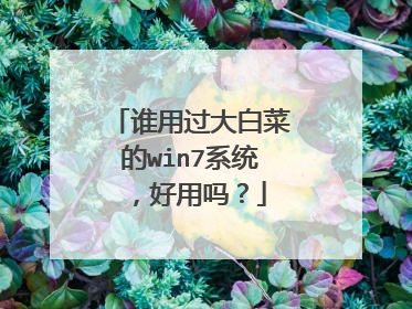 谁用过大白菜的win7系统，好用吗？