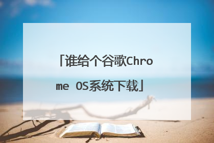 谁给个谷歌Chrome OS系统下载