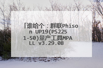 谁给个:群联Phison UP19(PS2251-50)量产工具MPALL v3.29.0B 软件, 最好带个教程,俺是新手,谢谢 俺的QQ